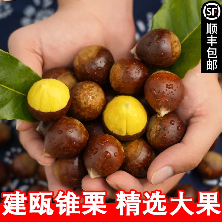 张书记甄选【顺丰包邮】建瓯高山新鲜锥栗农家天然油栗颗颗饱满香甜可口