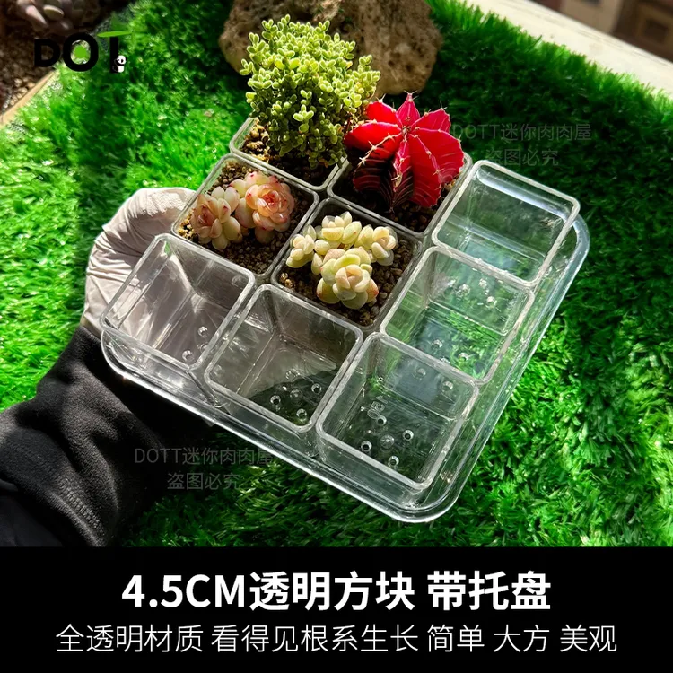 方形多肉花盆套装透气塑料仿玻璃透明加厚耐用桌面盆栽控养种植盆