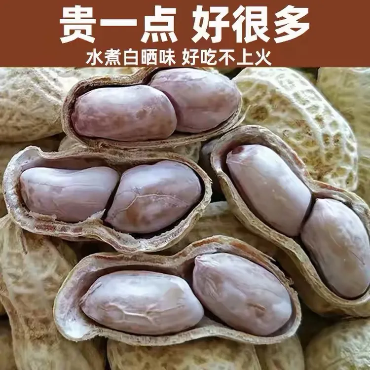 新货龙岩特产水煮白晒咸干花生蒜香五香多味带壳花生米坚果炒货熟