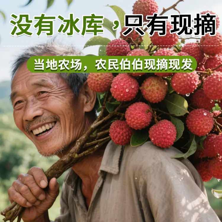 10年老树4.5斤广东东莞正宗桂味【二号直播间】