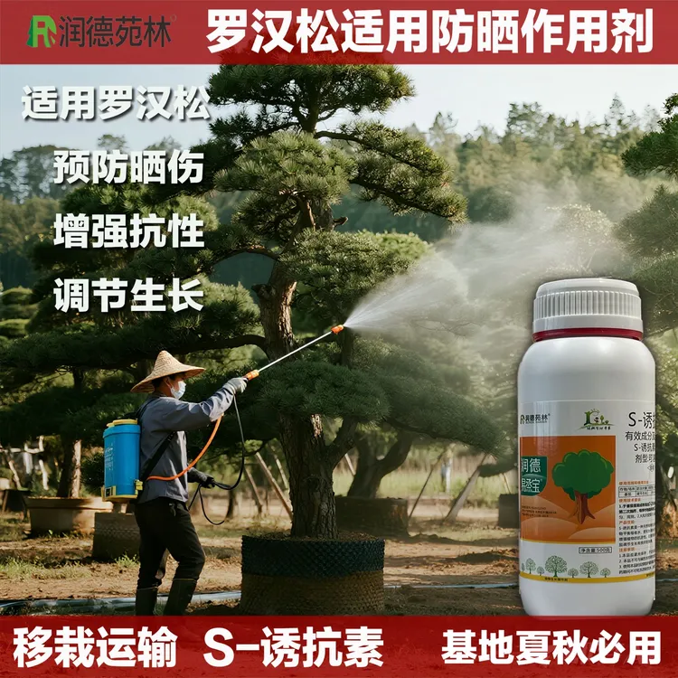 RUNDE GARDEN/润德苑林植物防晒蒸腾促进平衡水份作用S-诱抗素