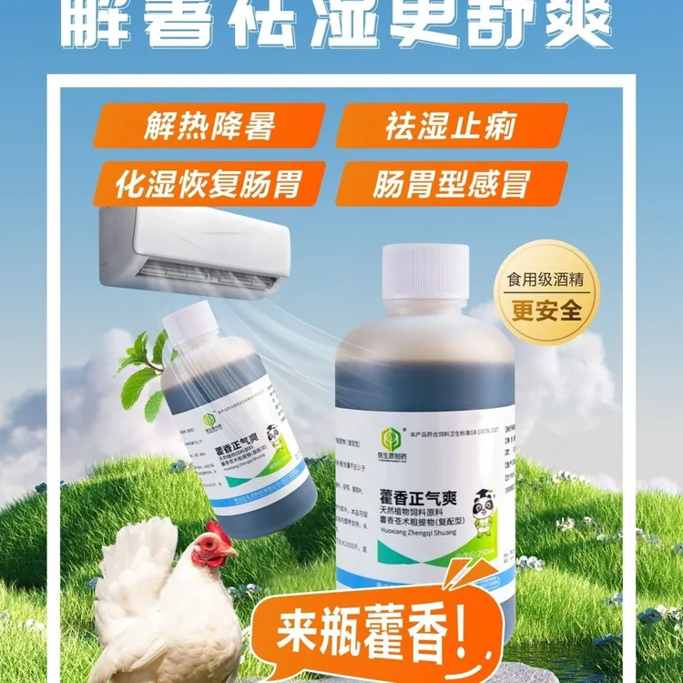 藿香正气水解表鸡鸭兽药去暑防热应激中暑肠胃感冒解暑降温防中暑