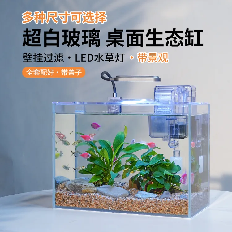 桌面生态水景缸经典款含水草造景玻璃鱼缸生态缸草缸带过滤