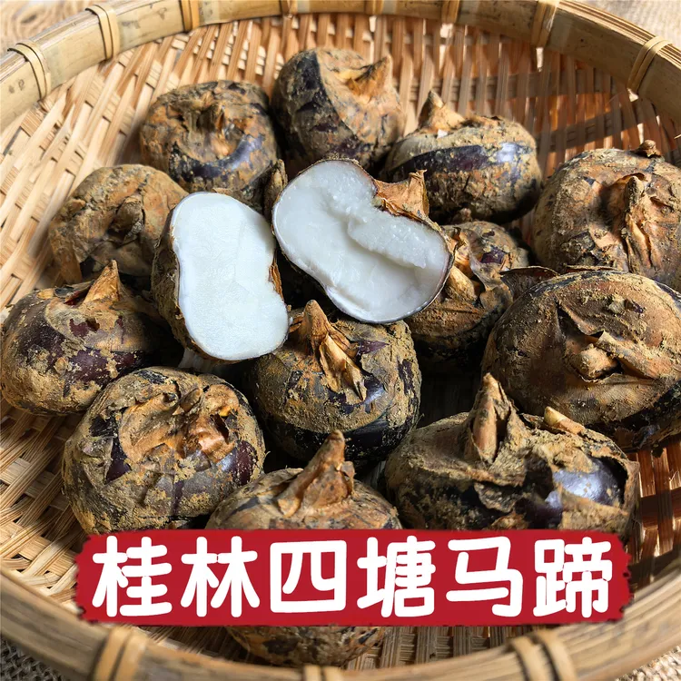 正宗广西桂林马蹄四塘马蹄农家当季新鲜水果荸荠即食地栗4.2斤装