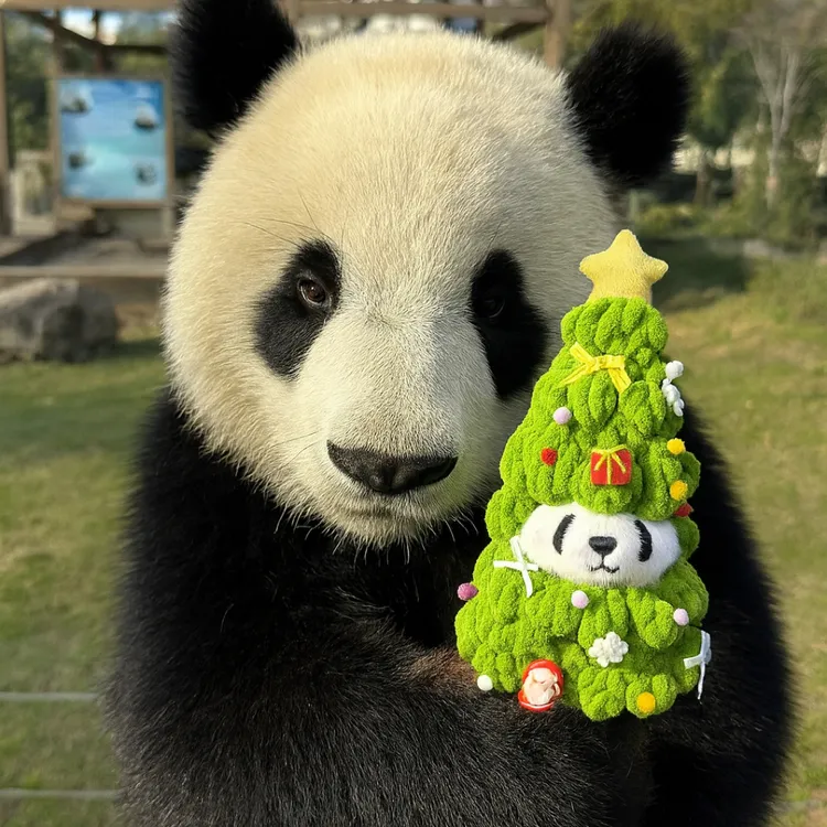 花花毛绒玩偶可爱公仔挂饰圣诞节纪念礼物娃娃成都伴手礼