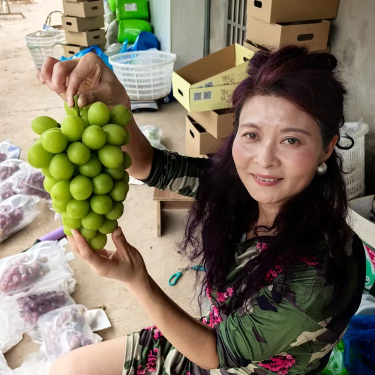 原阳光玫瑰葡萄新鲜多汁现摘现发5斤装