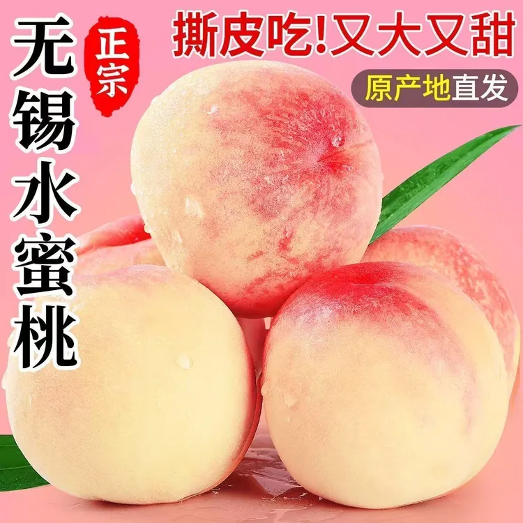 【豪华礼盒】正宗无锡白凤水蜜桃新鲜水果整箱应季湖景桃子包邮到家