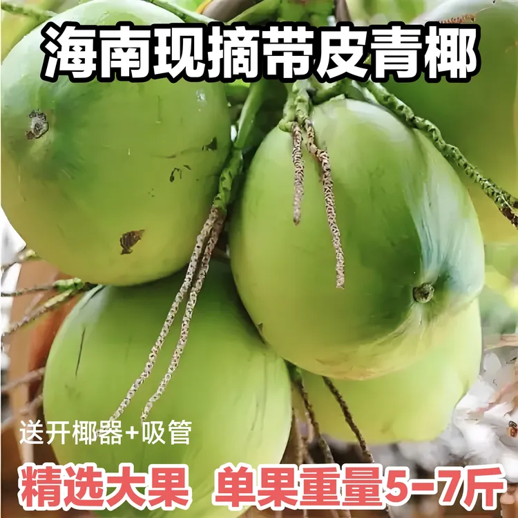 【5个装】海南椰子新鲜带皮青椰 纯天然热带水果小孩孕妇水果补羊水