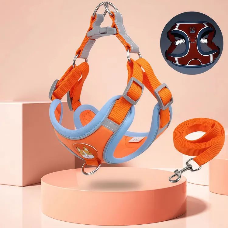 狗狗胸背带背心式狗狗牵引绳可调节大小泰迪小型犬遛狗绳小狗链子