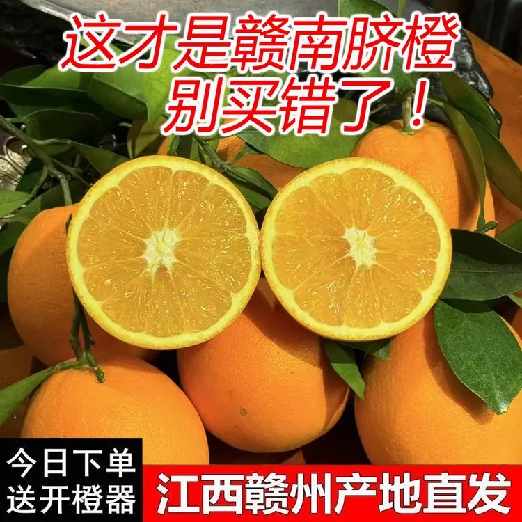 正宗江西新鲜赣南脐橙应季水果原产地现摘现发孕妈妈放心吃