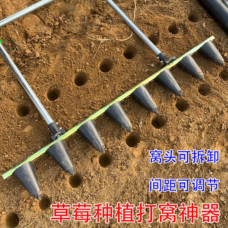 栽草莓苗专用工具打孔器打窝器打洞器穴盘栽苗定株距定位打坑神器