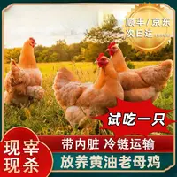 【竹林】买3送1 黄油老母鸡 带内脏 到手共4只净重10-11斤