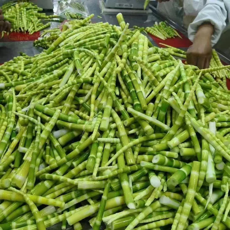 当季雷笋肉春笋笋尖剥壳笋江西小竹笋笋尖新鲜农家笋肉真空装蔬菜