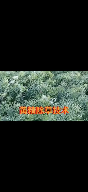 网络信息，技术资料