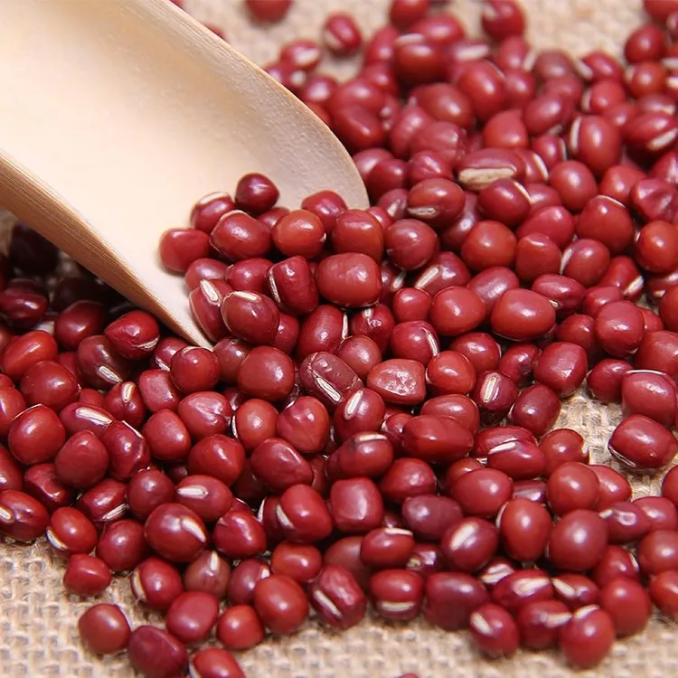 正宗精选农家自产红豆红小豆新豆易煮烂五谷杂粮煮粥煲汤当季新豆