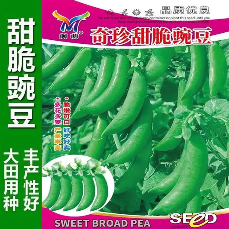 高产台湾奇珍甜脆豌豆种子四季种植长寿仁豌豆甜豌豆籽秋冬蔬菜种
