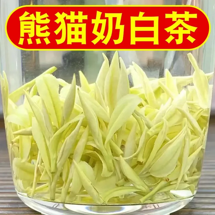 2025新茶【熊猫奶白茶】特级奶白茶正宗浓香型奶香白茶罐装袋装
