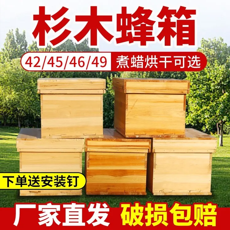 中蜂标准蜂箱七框厂家批发烘干42蜜蜂45养蜂全套46土蜂箱49诱蜂箱