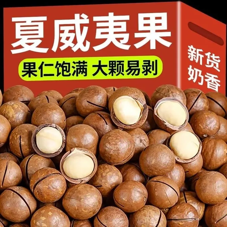 【夏威夷果】送开口器新货大颗粒奶香特大夏威夷果坚果干果孕妇零食