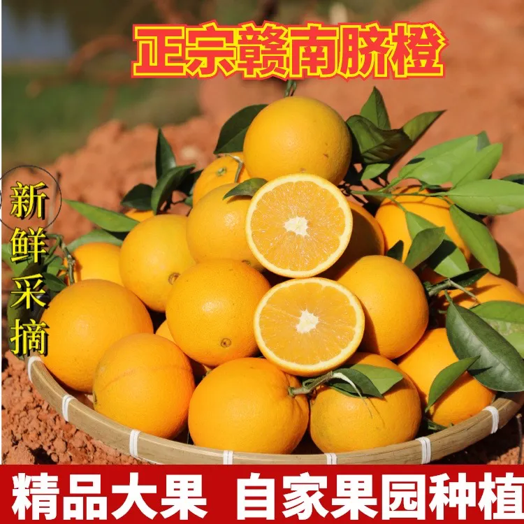 正宗赣南脐橙新鲜橙子应季孕妇水果整箱现摘现发5斤10斤产地直发