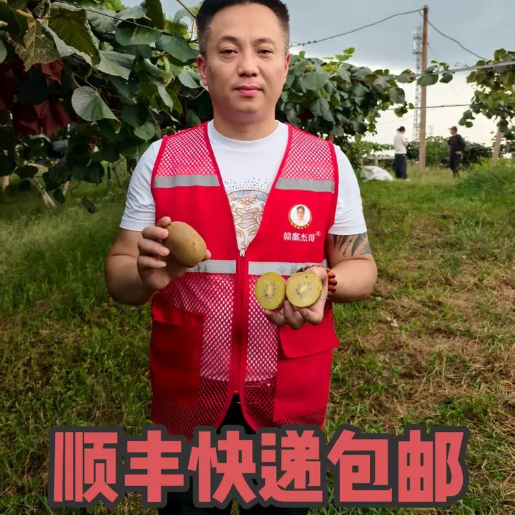 黄心猕猴桃是/奇异果