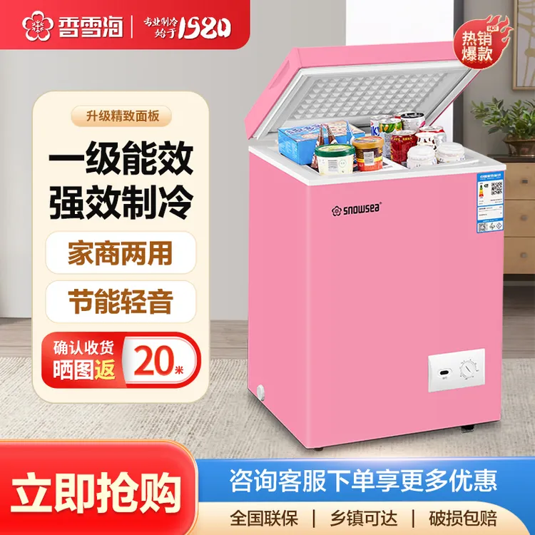 香雪海60-72升冰柜家用小型冷冻柜小冰柜家用冰柜清仓处理直播