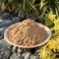 清极不知寒·古法梅花龙涎香粉 房间熏香 客厅香薰