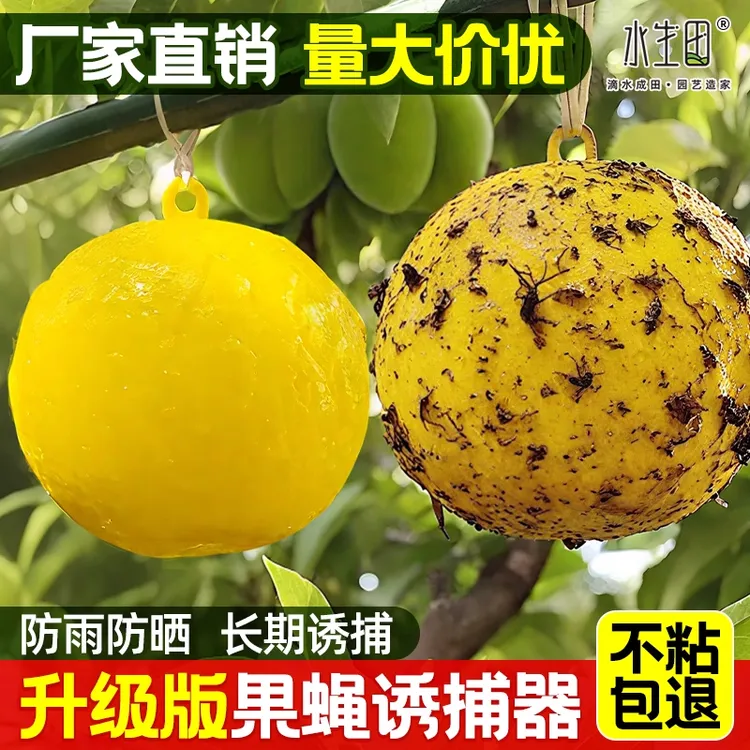 果蝇诱捕球粘蝇纸粘虫板诱虫器黄色灭小飞虫粘板农用捕捉器专用球