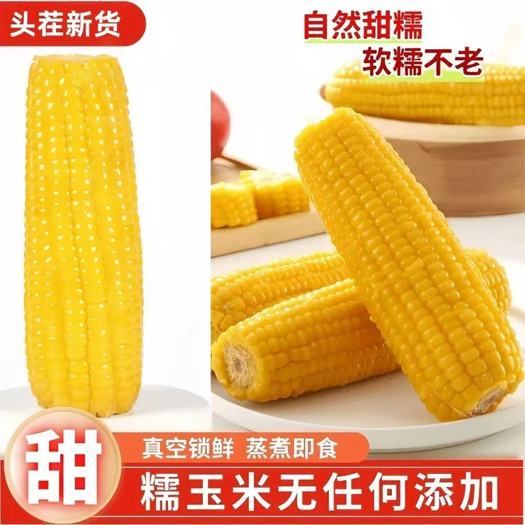 新疆伊犁直发有机黄糯玉米白糯香甜软糯真空包装8根一箱早餐粗粮
