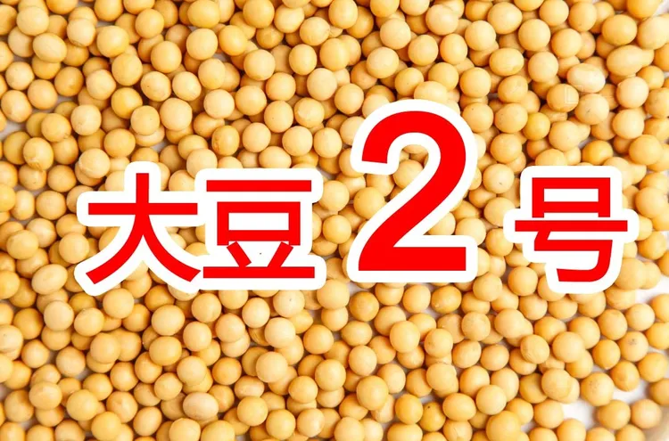 大豆花生2号叶面肥增产加硼钼