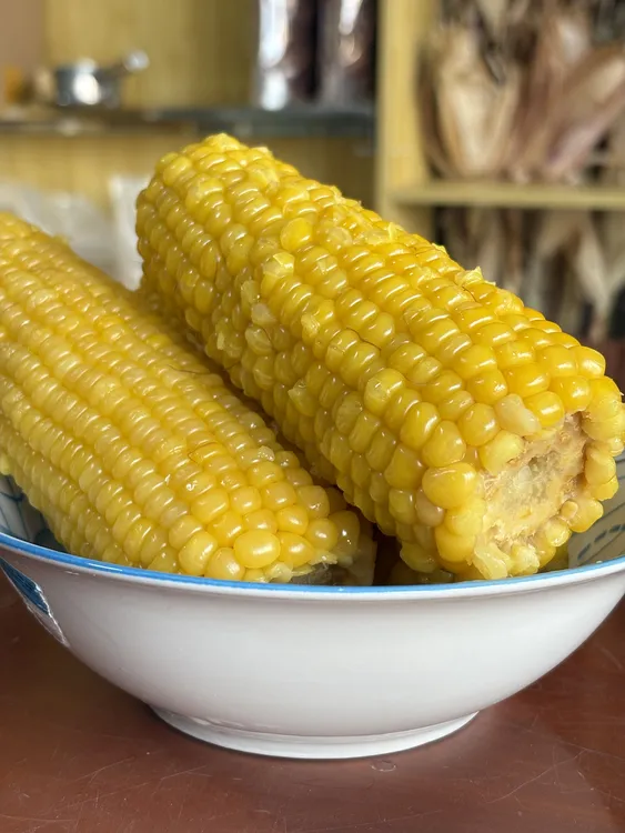 东北糯玉米2025新玉米软糯拉丝