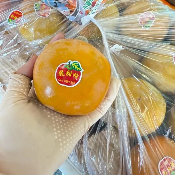 新鲜脆甜柿  5斤装 清甜可口 包邮 现货现发
