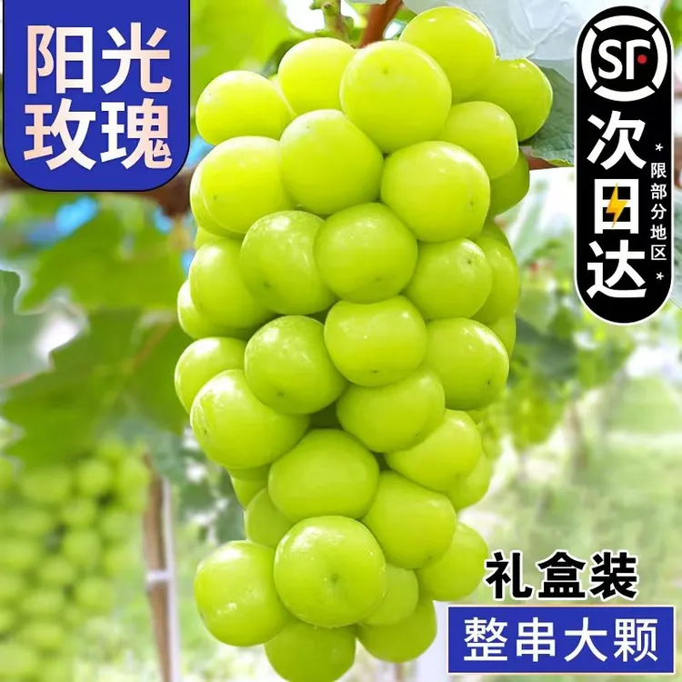 阳光玫瑰葡萄新鲜水果晴王葡萄大果无籽香印提子青提当季整箱顺丰