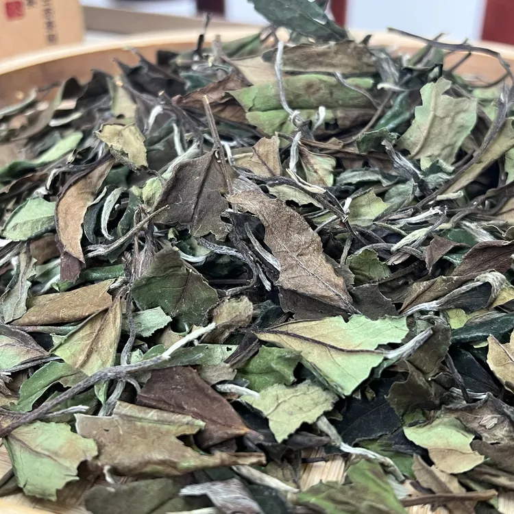 润古今白茶 福鼎白茶来钱山基地花香寿眉散茶500g