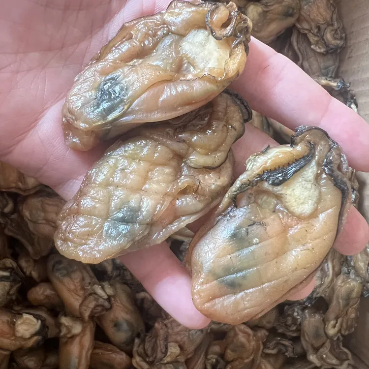 阳西程村生晒蚝干9成干无添加不抽蚝油生晒蚝豉约120头 包邮1斤装