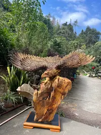 金丝楠木抱石大展宏图雄鹰展翅木雕工艺品展翅100高93