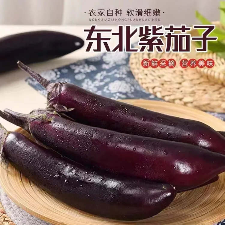 东北农家自种紫库茄子软烂鲜香
