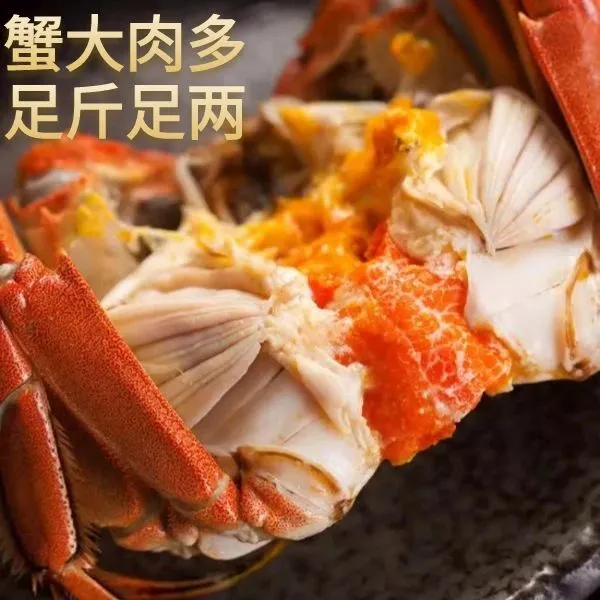 【活蟹】大闸蟹母蟹3.3-3两共8只礼盒装