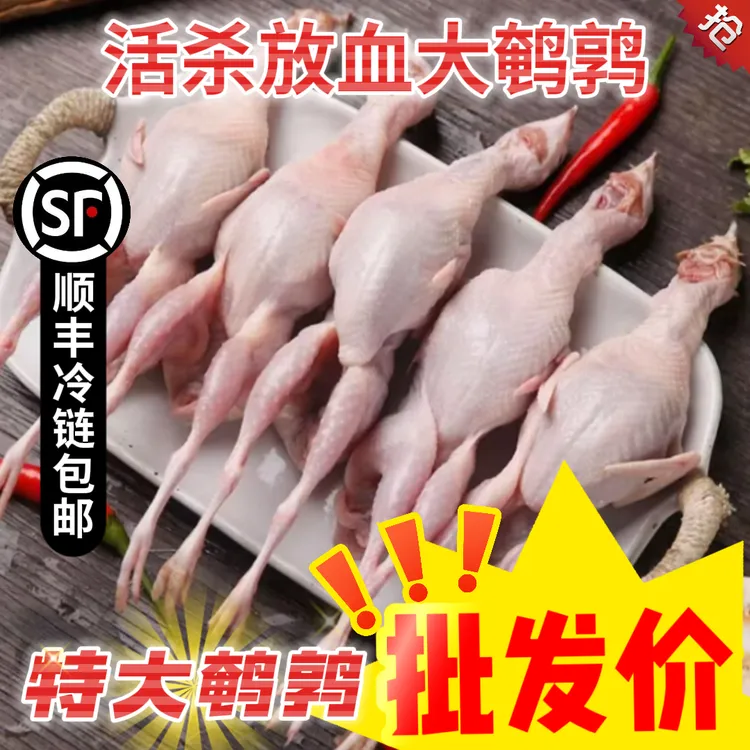 【单只3两】特大现杀鹌鹑鸟白条大鹌鹑现杀现发放血老母鹌鹑去内脏
