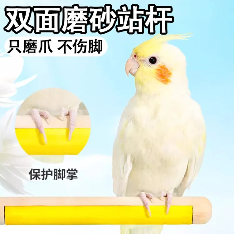 鹦鹉站杆双面磨爪棒站架玄凤虎皮牡丹啃咬玩具鸟站棍鸟笼配件