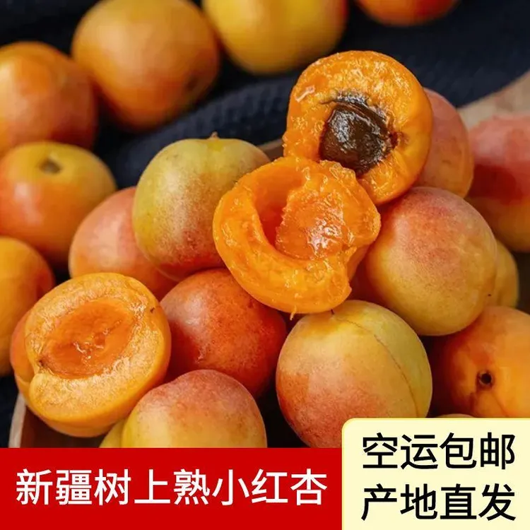 四团小红杏新疆吊干杏鲜果小果软糯香甜多汁应季