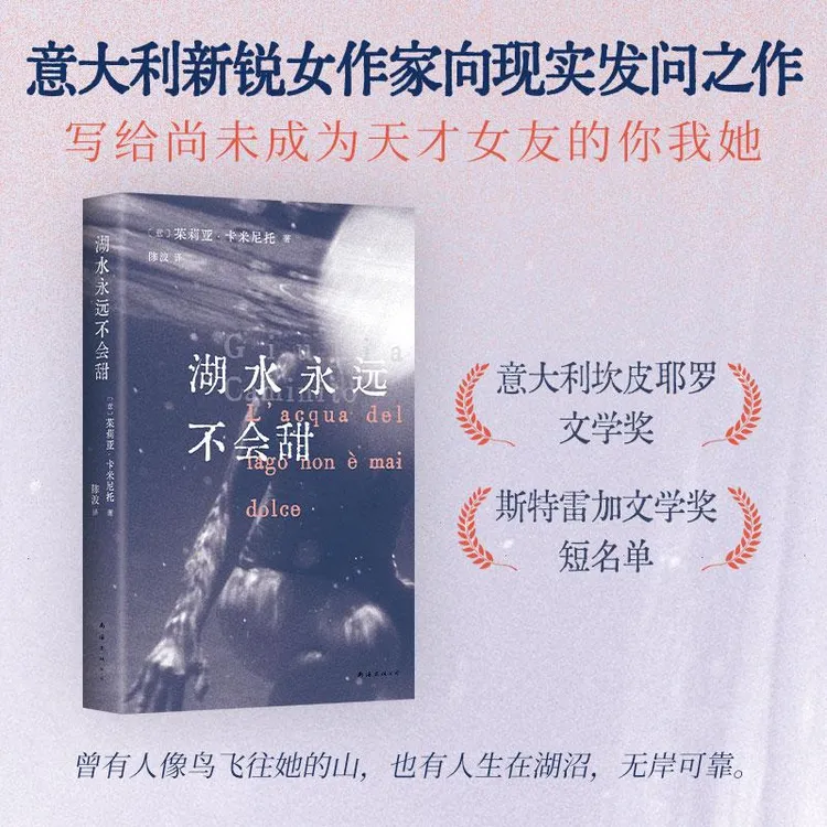 湖水永远不会甜 费兰特之后 意大利新锐女作家 《你当像鸟飞往你