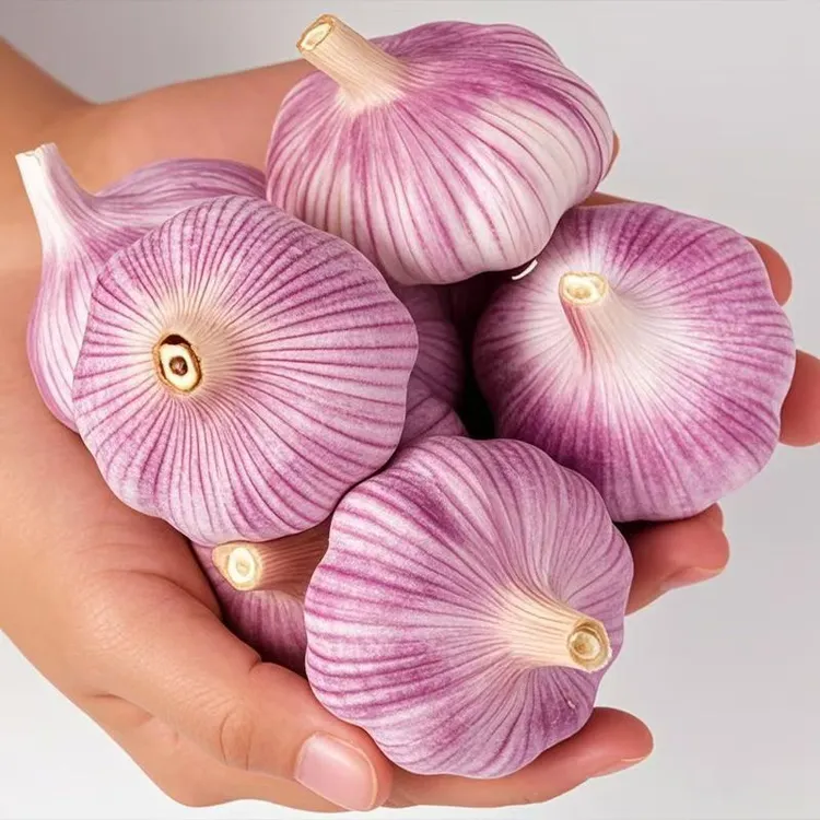 【5斤蒜】紫白皮大蒜头干蒜农家自种大果足干今年新大蒜头100g-9斤