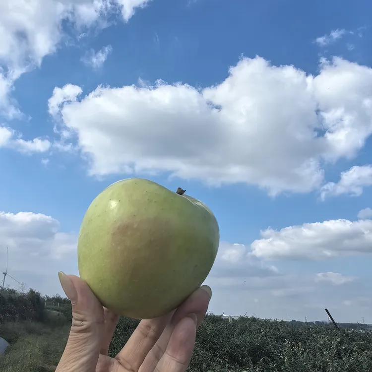 青森水蜜桃香味脆甜多汁