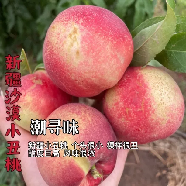 【顺丰空运】潮寻味新疆小丑桃个头很小模样难看甜度巨高风味浓郁