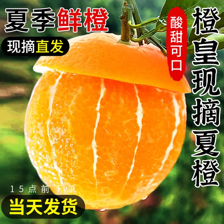 重庆高山夏橙9斤包邮新鲜现摘现发水果橙子当季整箱手剥榨汁橙