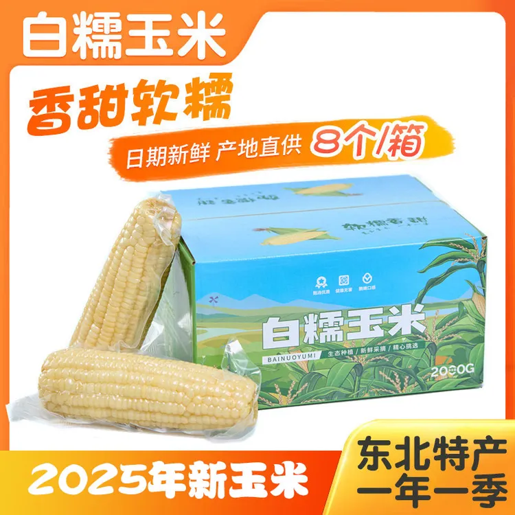 煮饭君东北白糯玉米 8棒/箱 软糯香甜 真空锁鲜  
