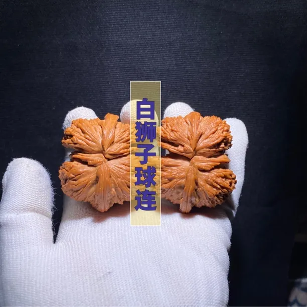 白狮子球连 相似度很高 质量保证 尺码合适 手盘刚刚好 收藏款