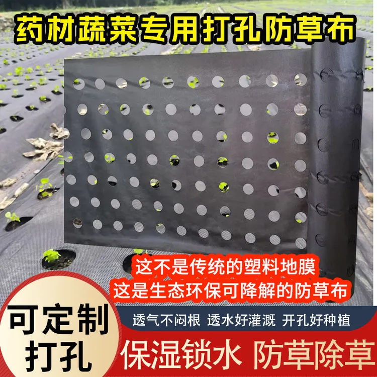 农用药材蔬菜打孔防草布中药材蔬菜透水透气开孔防草布保湿地膜