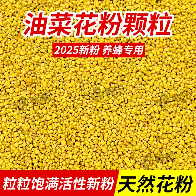 蜂荣油菜花粉新鲜油菜喂蜂饲料粉产地品质优良包邮繁蜂口粮饲料